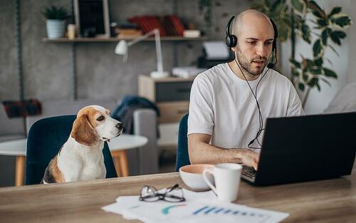 1 In 5 Americans Are Still Working From Home