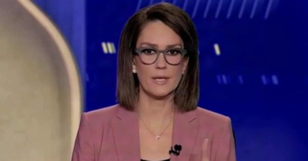 Jessica Tarlov defends billionaires, says ‘really rich dudes’ are critical to NYC